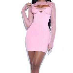 MissCircle Winston Blush Pink Mesh Long Sleeve Corset in Size XS